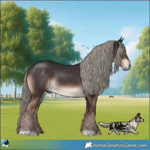 Horse Color:Liver Chestnut Mushroom 