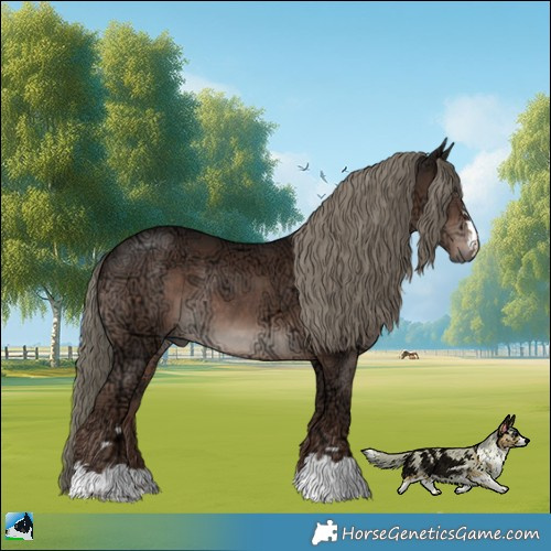 Horse Color:Liver Chestnut Ice Mushroom Rabicano 