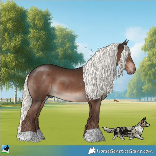 Horse Color:Liver Chestnut Mushroom 