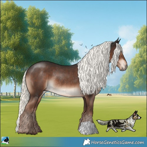 Horse Color:Liver Chestnut Mushroom Rabicano 