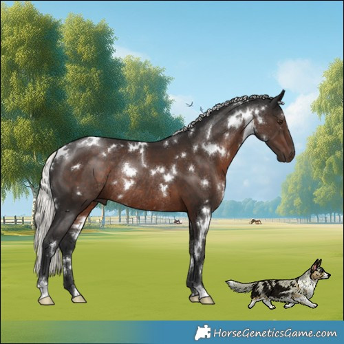 Horse Color:White Spotted Liver Chestnut Mushroom Rabicano 