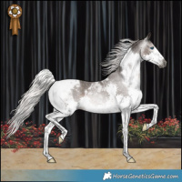 Horse Color:Gray Silver Black Splash Tobiano Appaloosa Rabicano
