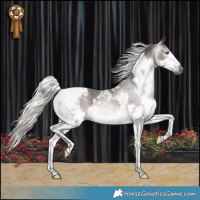 Horse Color:Gray Silver Black Splash Tobiano Appaloosa Rabicano 
