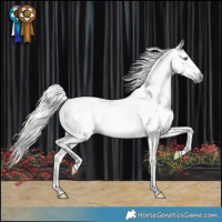 Horse Color:Gray Silver Black Splash Tobiano Varnish Rabicano 