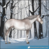Horse Color:Platinum Liver Red Onyx Pearl 