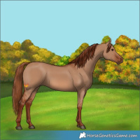 Horse Color:Red Dun 
