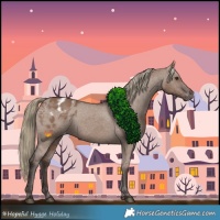 Horse Color:Liver Red Dun Appaloosa 