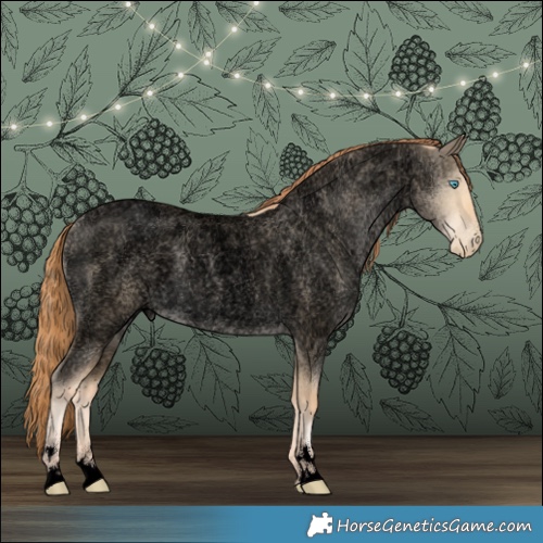 Horse Color:Void Buckskin Roan Pearl Dun 