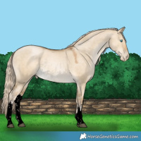 Horse Color:Void White Spotted Chocolate Palomino Snowdrop Dun Mushroom Rabicano