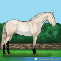 Horse Color:Void White Spotted Chocolate Palomino Pearl Dun Mushroom Rabicano 