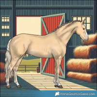 Horse Color:Palomino 