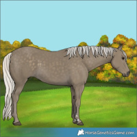 Horse Color:Silver Smoky Black 
