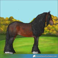 Horse Color:Brown 