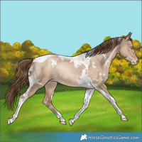 Horse Color:White Spotted Liver Red Dun Snowdrop Pearl Tobiano Varnish Rabicano