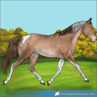 Horse Color:Brown Snowdrop Tobiano Snowflake Varnish Rabicano 