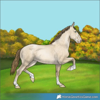 Horse Color:Smoky Grullo Pearl and Buckskin Pearl Dun Sabino