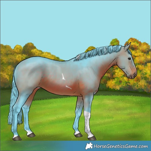 Horse Color:Watercolor Brown Tobiano Rabicano
