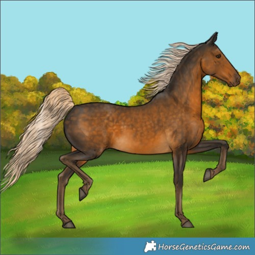 Horse Color:Chocolate Palomino