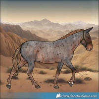 Horse Color:Liver Red Roan 