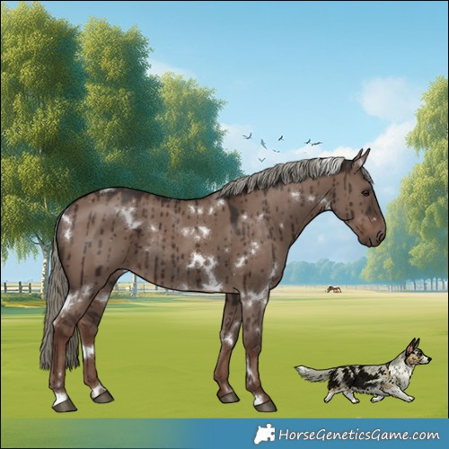 Horse Color:White Spotted Liver Red Dun Mushroom Rabicano Brindle 