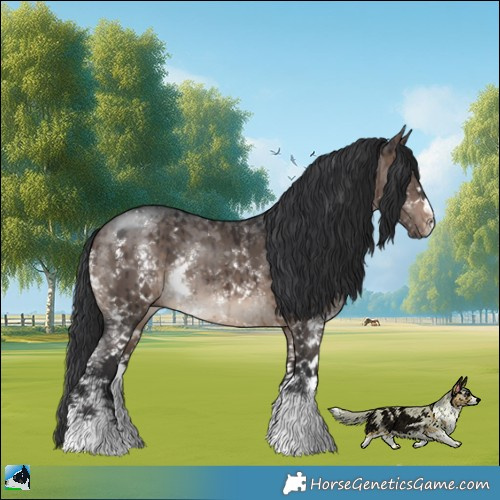 Horse Color:Brown Dun Mushroom Sabino Brindle 