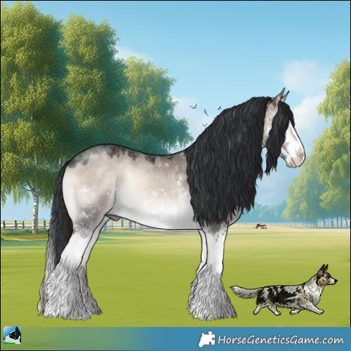 Horse Color:Brown Onyx Mushroom Sabino Splash Rabicano 