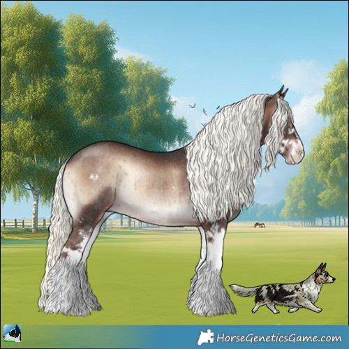 Horse Color:Liver Red Onyx Mushroom Sabino Rabicano Brindle 