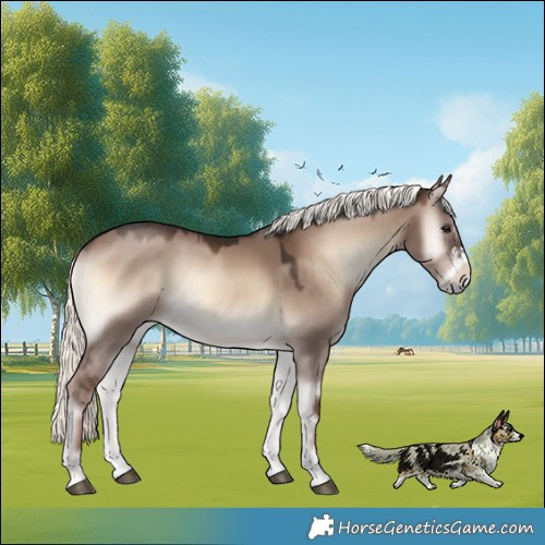 Horse Color:Liver Red Dun Onyx Mushroom Sabino Rabicano 