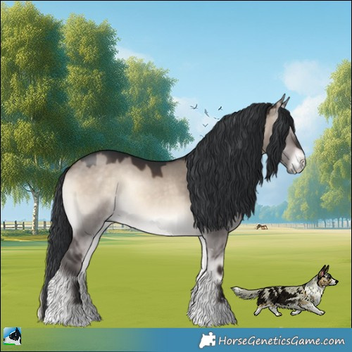 Horse Color:Brown Onyx Mushroom Sabino Rabicano