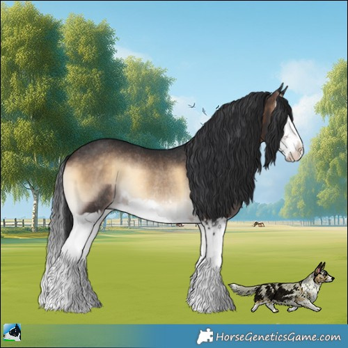 Horse Color:Brown Onyx Splash Rabicano 