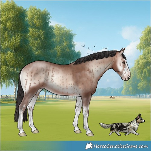 Horse Color:Sable Champagne Onyx Mushroom Sabino Rabicano