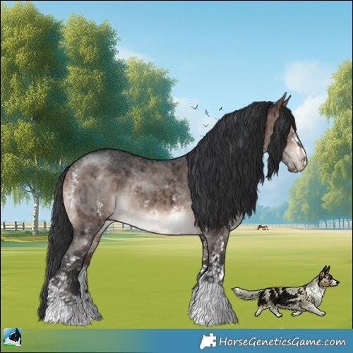 Horse Color:Brown Dun Mushroom Sabino Rabicano Brindle 