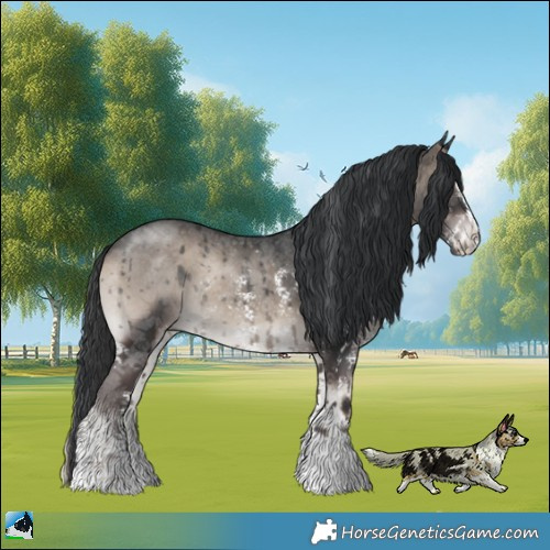Horse Color:Blue Onyx Mushroom Sabino Rabicano 