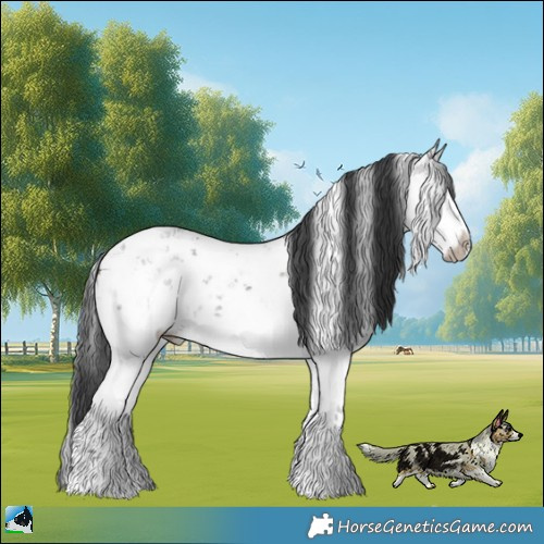 Horse Color:Grullo Mushroom Sabino Rabicano Brindle 
