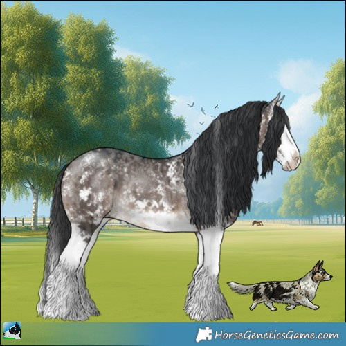 Horse Color:Brown Dun Mushroom Sabino Splash Rabicano Brindle 