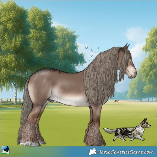 Horse Color:Liver Red Dun Mushroom Rabicano 