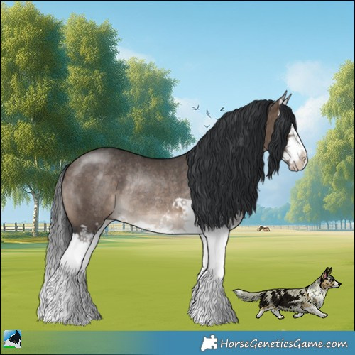 Horse Color:Brown Dun Mushroom Splash Rabicano Brindle 