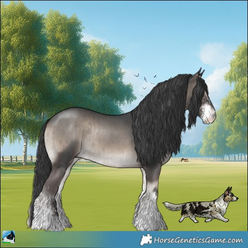 Horse Color:Blue Onyx Mushroom Sabino Rabicano Brindle 