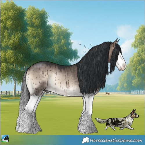 Horse Color:Brown Onyx Mushroom Splash Rabicano Brindle 