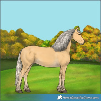 Horse Color:Palomino 
