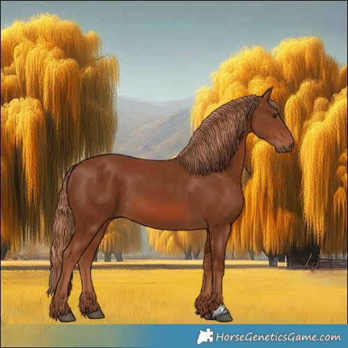 Horse Color:Chestnut 