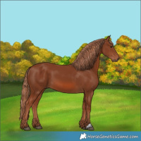 Horse Color:Chestnut 