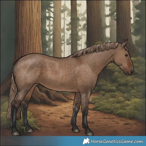 Horse Color:Liver Red Dun 
