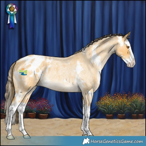 Horse Color:White Spotted Buckskin Roan Splash Blanket Rabicano 