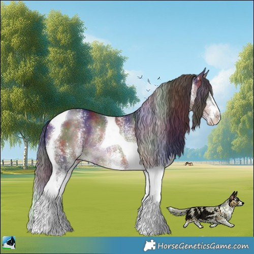 Horse Color:Nacre White Spotted Brown Tobiano Rabicano 