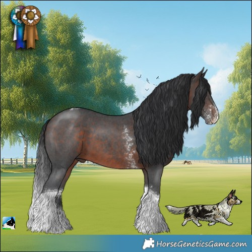 Horse Color:Brown Sabino Tobiano 