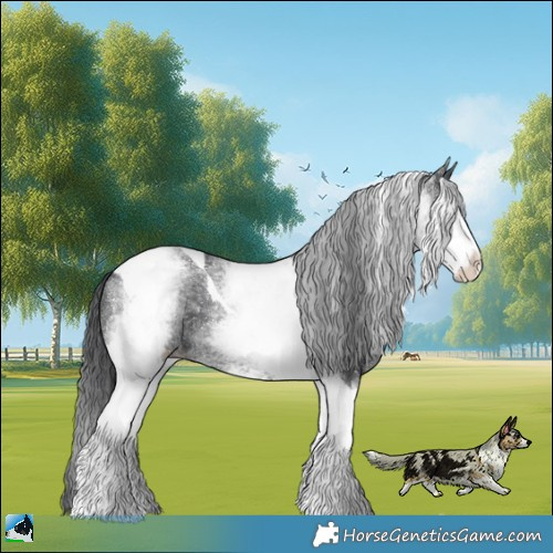 Horse Color:White Spotted Black Tobiano 