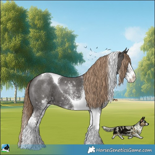 Horse Color:White Spotted Liver Chestnut Splash Tobiano