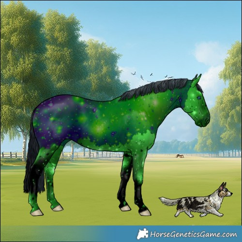 Horse Color:ERROR: UNKNOWN ANOMALY