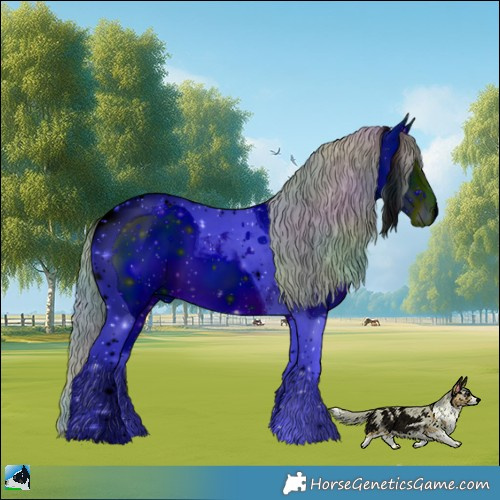 Horse Color:ERROR: UNKNOWN ANOMALY